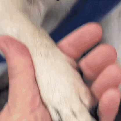 KloTrygg LED-Klosax - Äntligen vågar du klippa utan rädsla